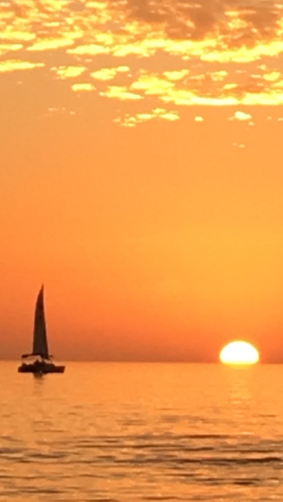 catamaran sunset cruise marco island